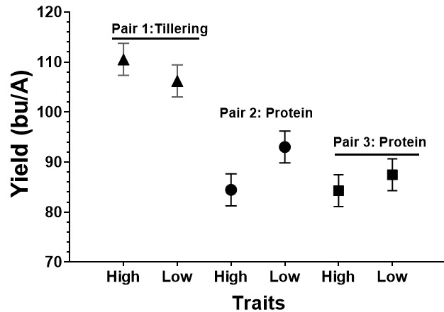 Graph showing the relationship between the yield and near isogenic line pairs.