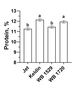 Bar graph showing protein percentages of Jet, Keldin, WB 1529 and WB 1720