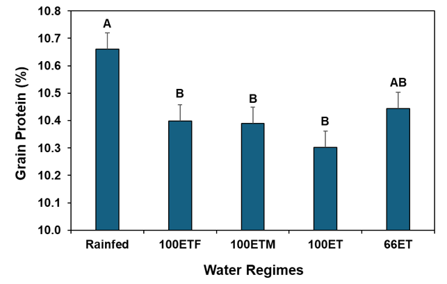 Grain Protein (%) y-axis & Water Regimes x-axis