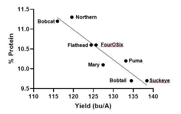 % Protein y-axis & Yield (Bu/A) x-axis