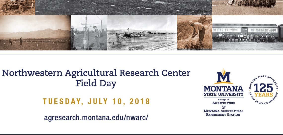 field day