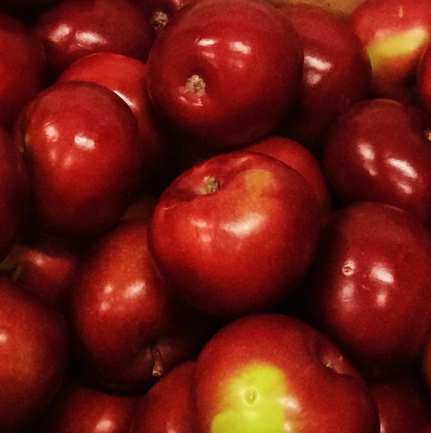 Mcintosh apples