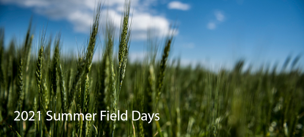 A link to the list of summer field days at the research centers in Montana.