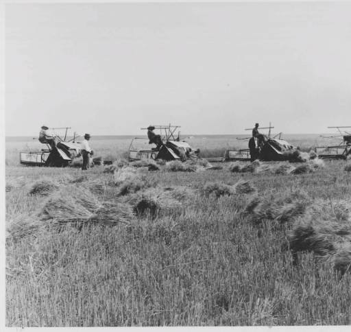 Swathing