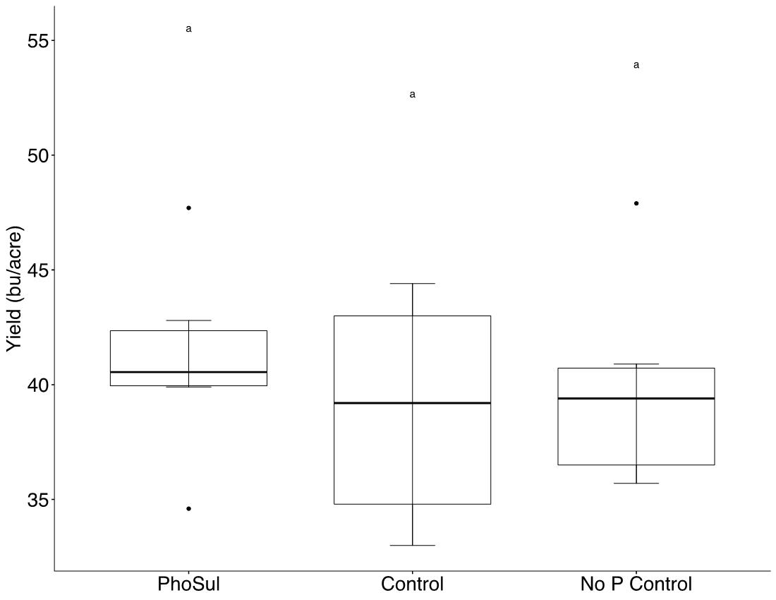 Box plot of winter wehat yields in 2021 (panel A) and 2022 (panel B). Left plot is winter wheat grown with PhoSul. Average was around 42 bushels per acre. Center plot is the control with starter fertilzer. Average yield was 28 bushels per acre in 2021 and 39 bushels per acre in 2022. Right plot is the control without starter fertilizer. Average yield was 34 bushels per acre in 2021 and 39 bushels per acre in 2022.