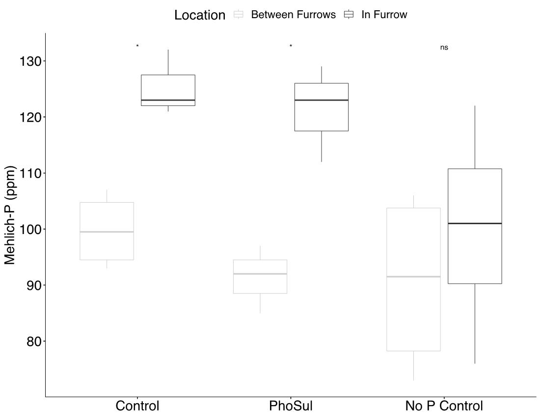 Soil phosphate concentrations in furrow and between furrow. No differences in phosphate concentrations were observed between treatments for between furrow measurements. In furrow, phosphate concentrations with PhoSul were as high as the conventional fertilizer control.