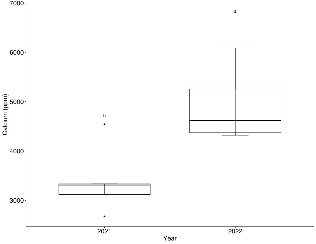 Boxplot of soil calcium concentrations in both years of the study. In 2021, soil calcium was around 3,330 ppm. In 2022, soil calcium was around 4,500 ppm.
