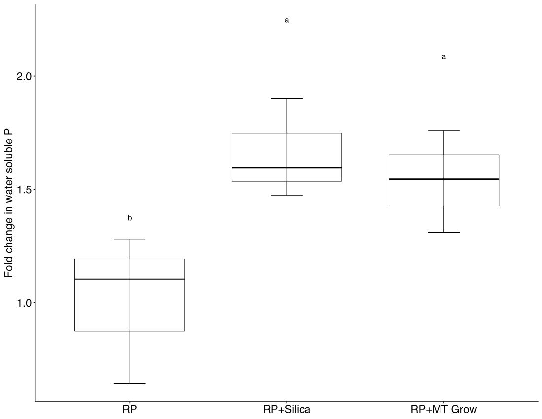 Fold change in water soluble phosphorous after 49 day acidulation. Rock phosphate alone increased by 1.2 fold. Rock phosphate with analytical grade silica or MT Grow increased by around 1.5 fold.