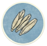 icon showing durum kernels