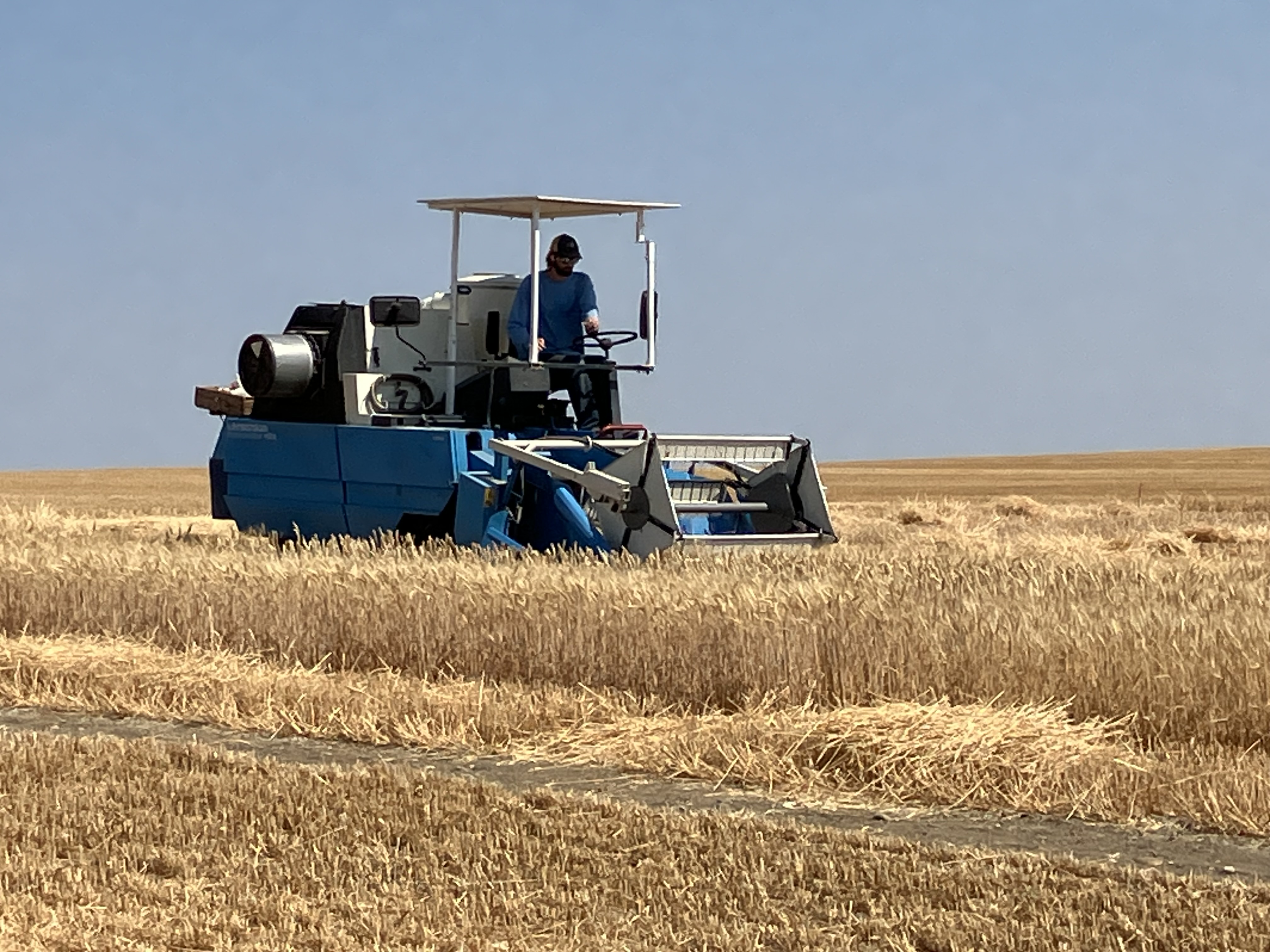 Combining off-station cereal plots