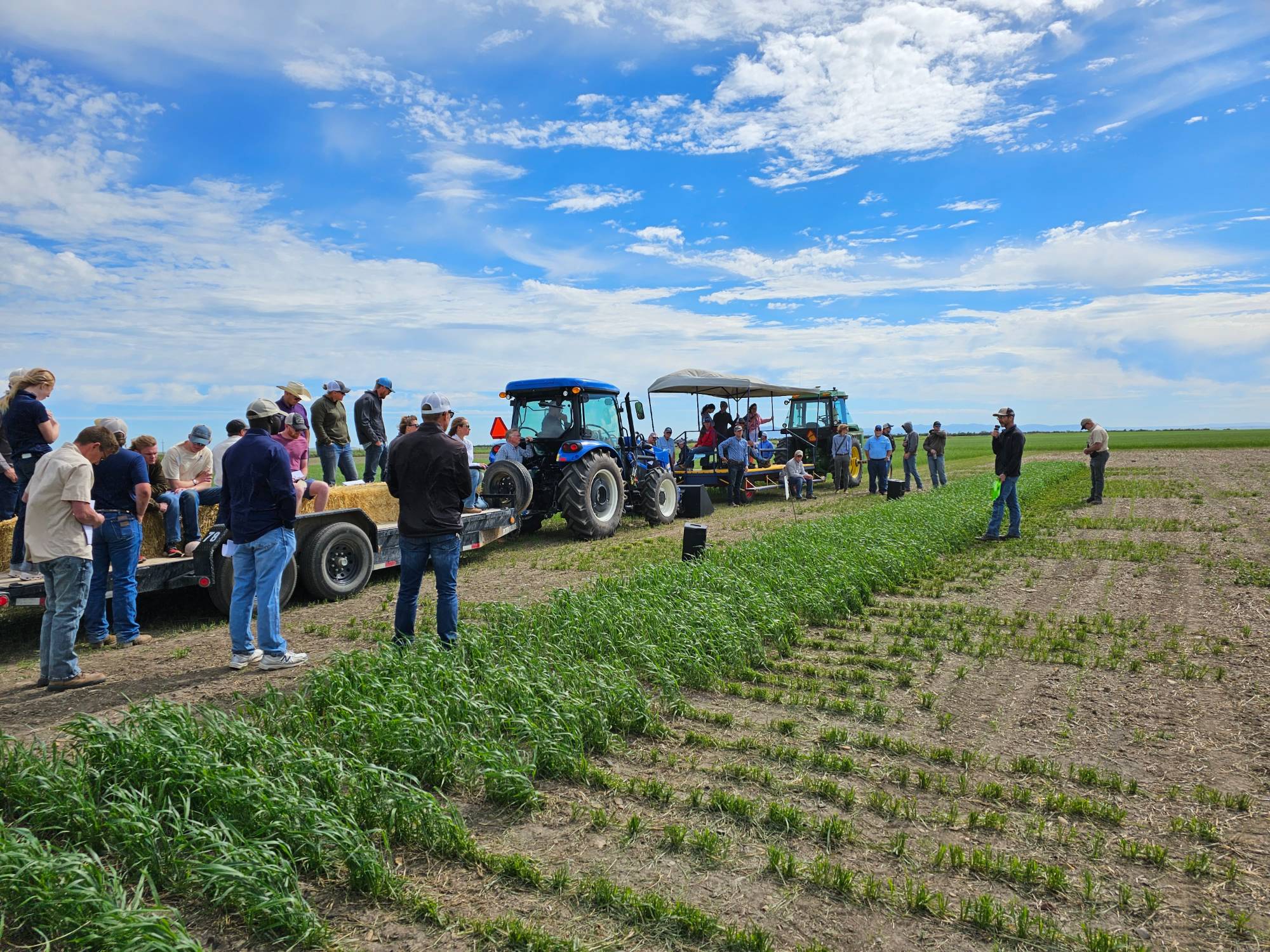 wtarc field day