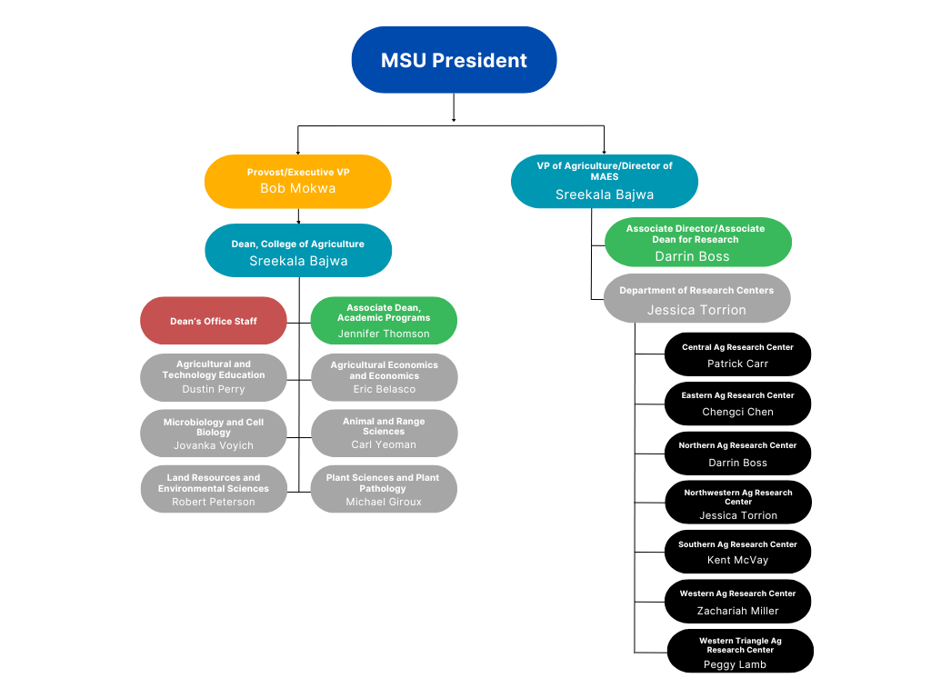 MAES Organizational Chart