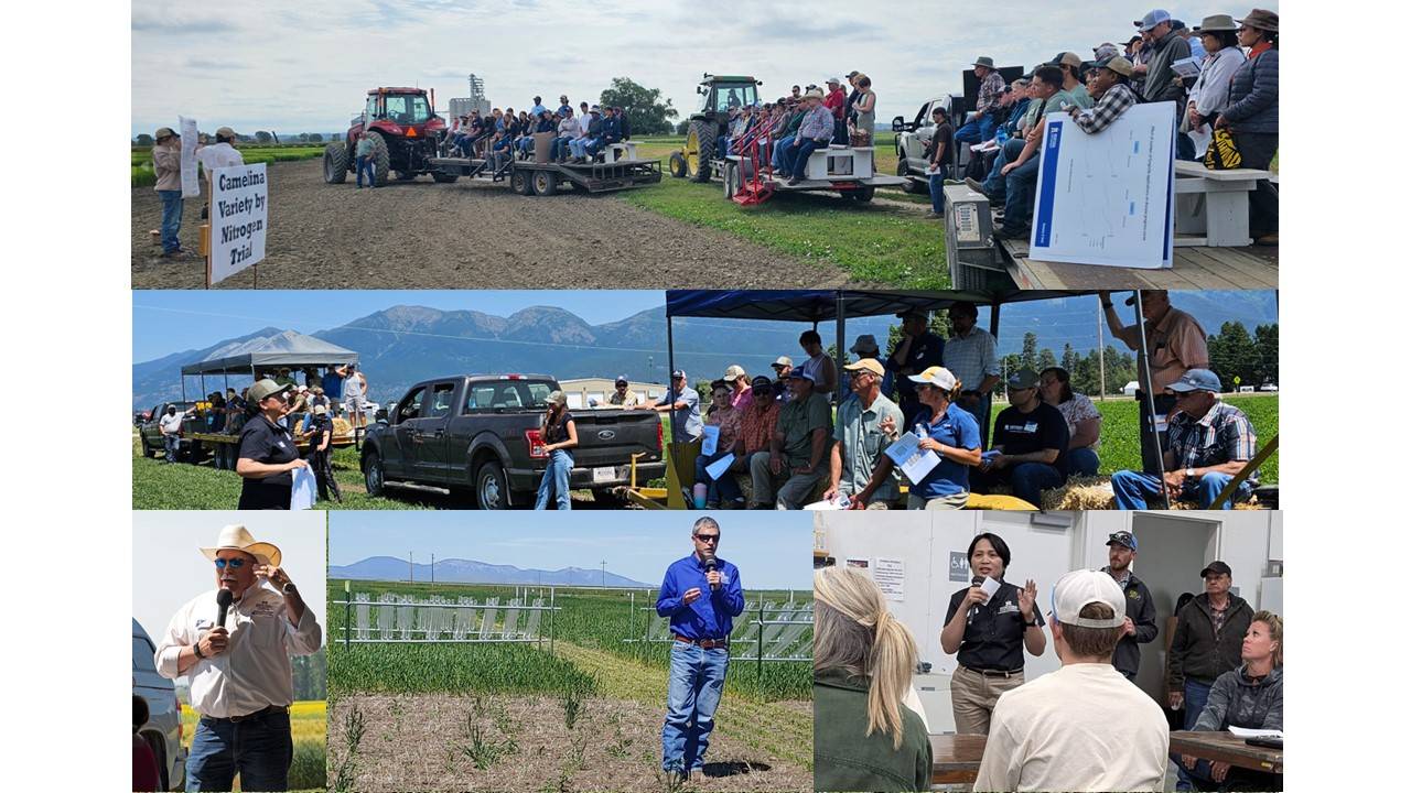 RC field day