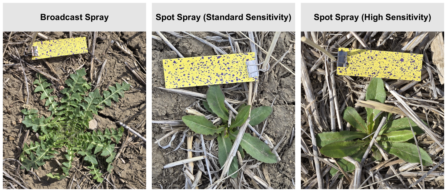 Targeted Spray Application