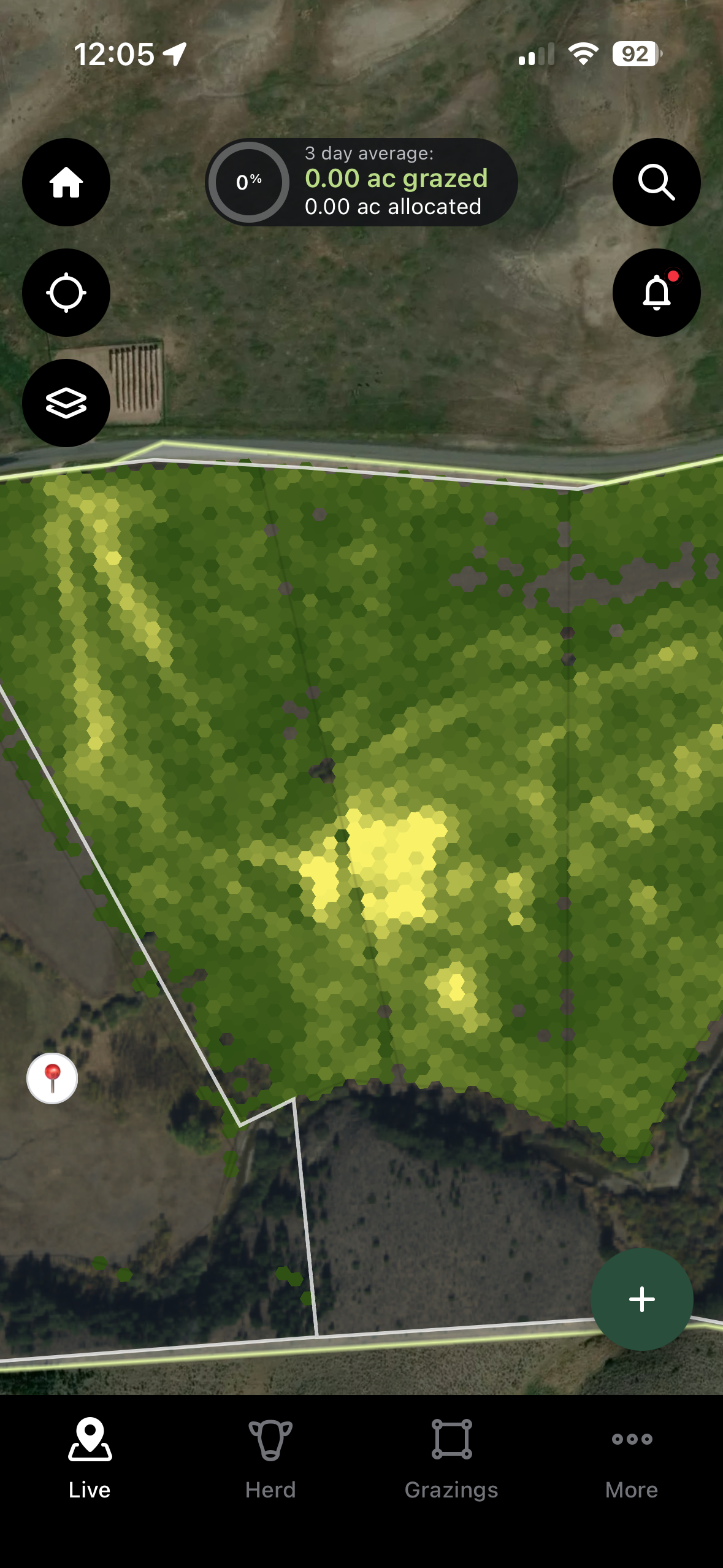Heifer grazing with Halter collar at initiation of study