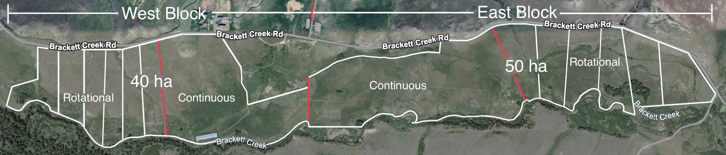 Figure 3: Pasture layout at Brackett Creek study site.