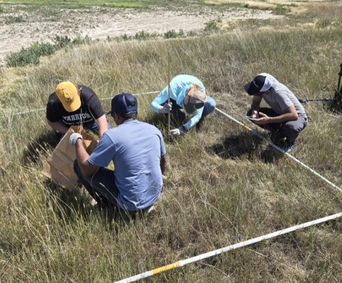 NARC research teams collect biomass samples and canopy heights NARC research teams collect biomass samples and canopy heights