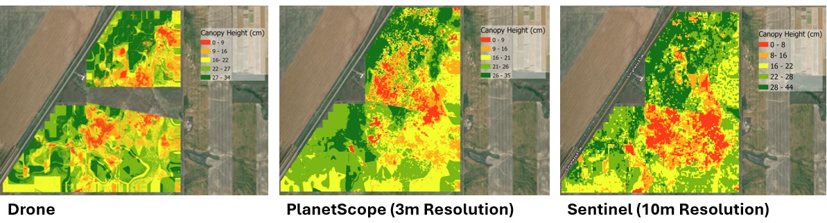A side-by-side comparison of the three canopy height prediction models. A side-by-side comparison of the three canopy height prediction models.
