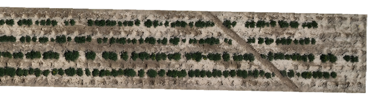 UAV-acquired RGB imagery UAV-acquired RGB imagery