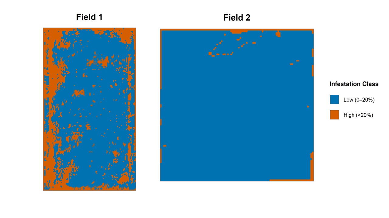 Field-scale machine learning prediction maps of pre-harvest wheat stem sawfly infestation