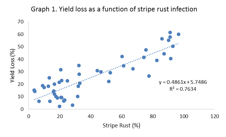 Scatter plot showing the yield loss as a function of stripe rust infection