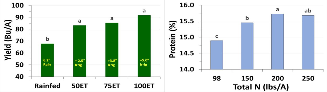 Two bar graphs, one showing the yield response to water regimes, and the other the protein response to total nitrogen.