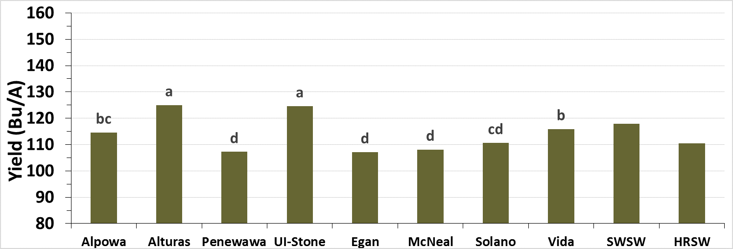 Bar graph showing the mean yield response of soft white spring wheat and hard red spring wheat.