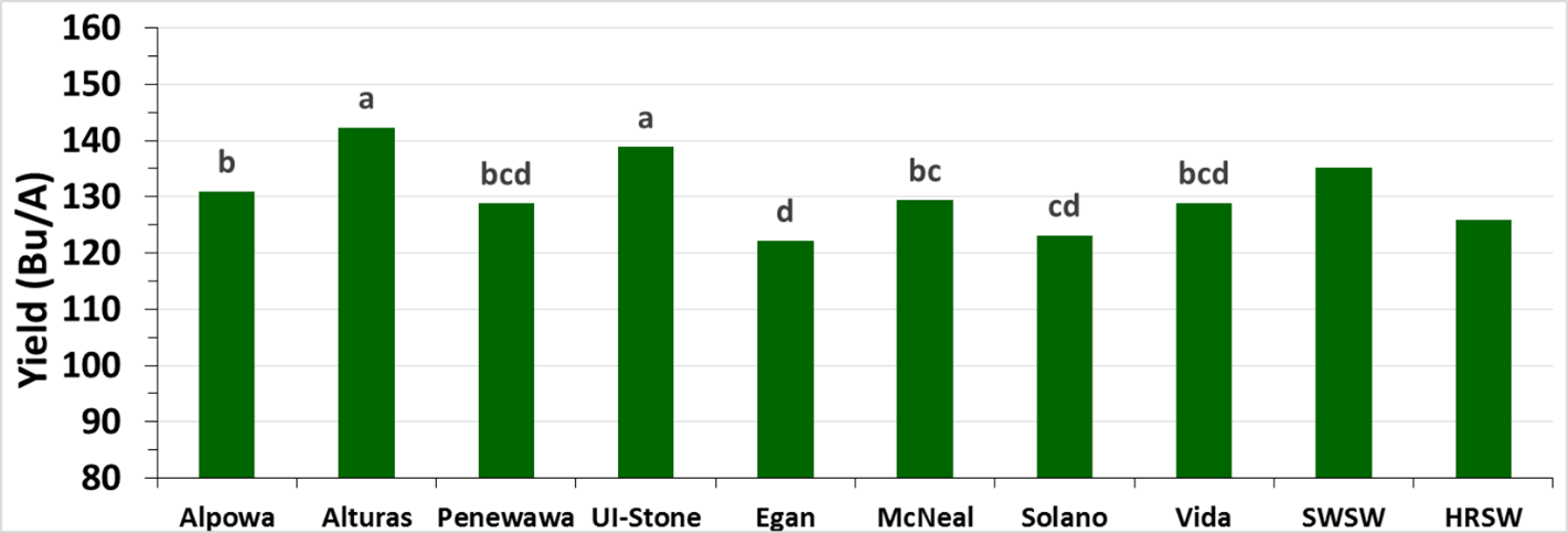 Bar graph showing the mean yield response of soft white spring wheat and hard red spring wheat 