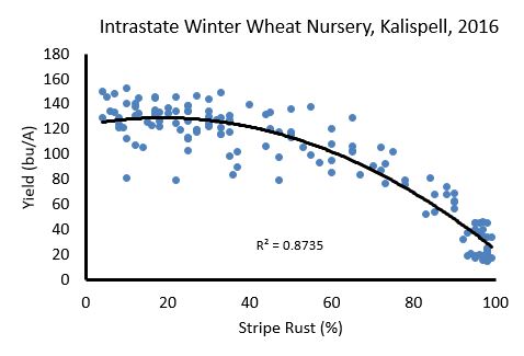 Scatter plot showing the relationship between the percentage of stripe rust and the yield in bushels per acre.
