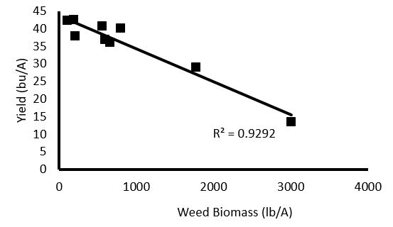 Graph showing the relationship between weed biomass and crop yield.