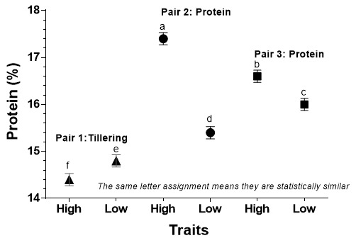 Graph showing the relationship between the protein contents and the various line pairs.