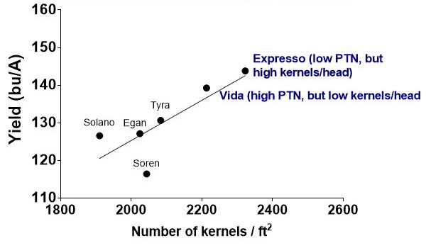 A graph showing the relationship between yield and number of kernels per feet squared. The relationship is linear in nature.