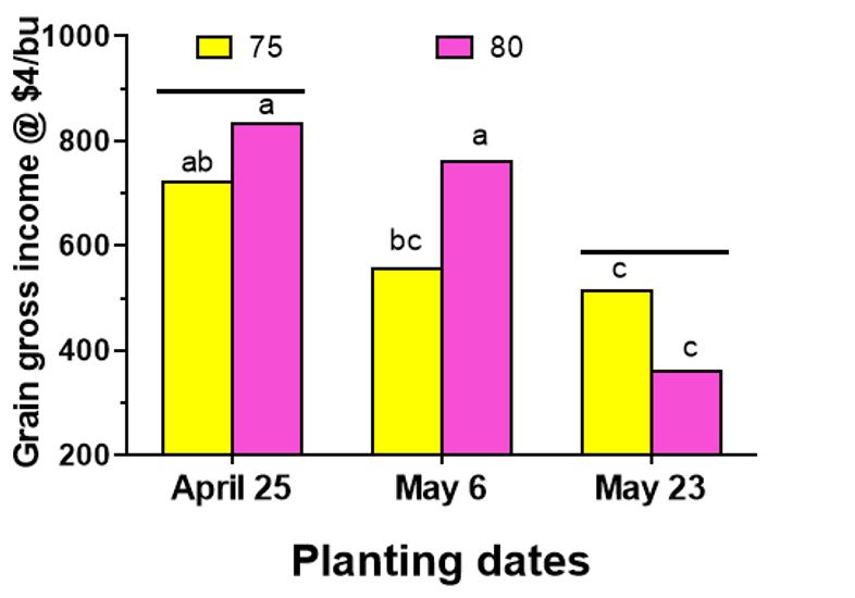 Figure 3. A bar graph showing the gross income from corn grain based on planting date and relative maturity rating.