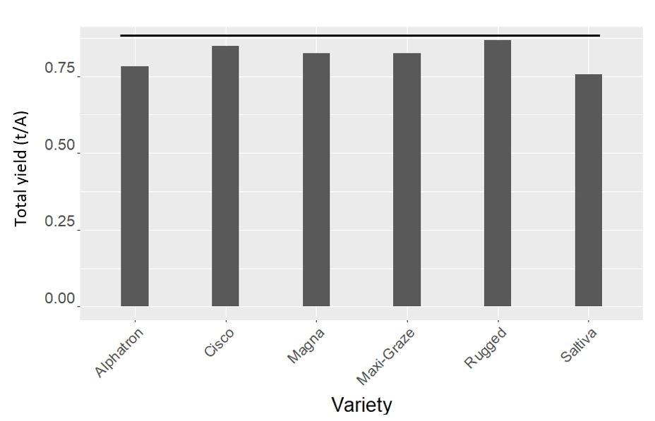 Figure 3.  A bar graph of the yields grouped by variety at the Havre, MT site