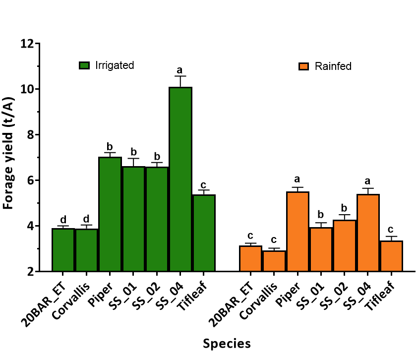 Bar graph shping the environment x species interaction means of forage yield (t/A). 