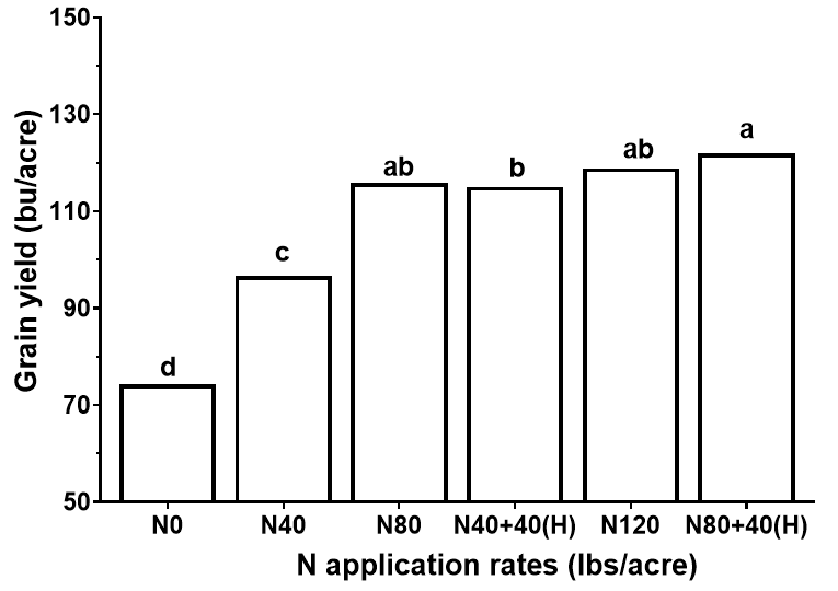 Bar graph showing N application rates (lbs/acre) x-axis and grain yield (bu/acre) y-axis 