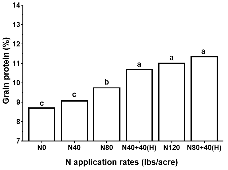 Bar graph showing N application rates (lbs/acre) x-axis and grain protein (%) y-axis
