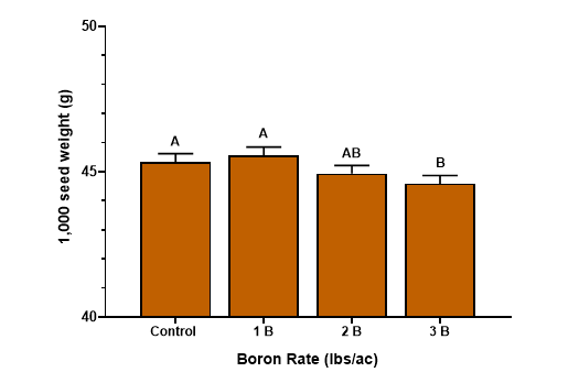 Figure 3. Thousand (1,000) Kernel Weight with Boron application. 