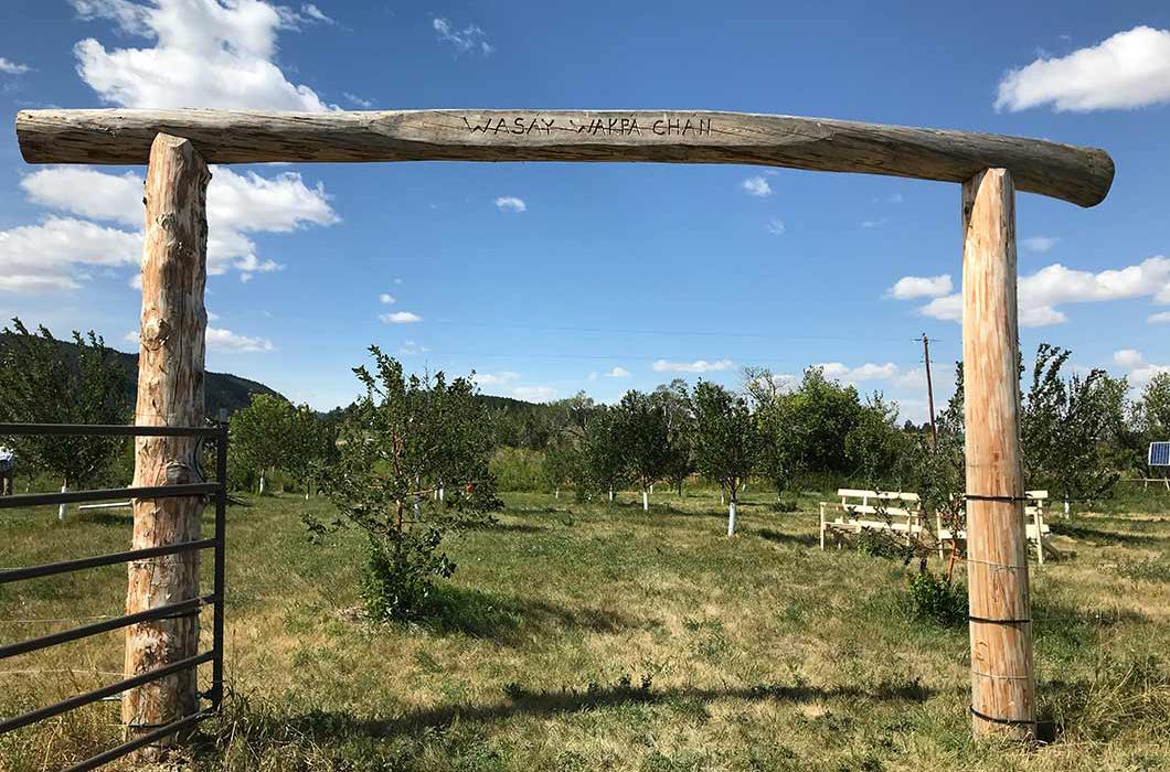 Wasay Wakpa orchard in Lodge Pole, Montana