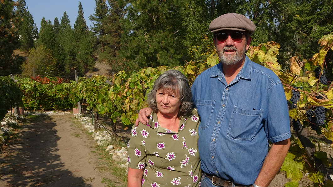 Linda and Mark Bennett in their vineyard, Hamilton