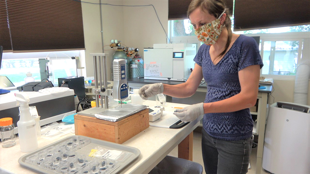 Dr. Rachel Leisso conducts fruit research in the lab