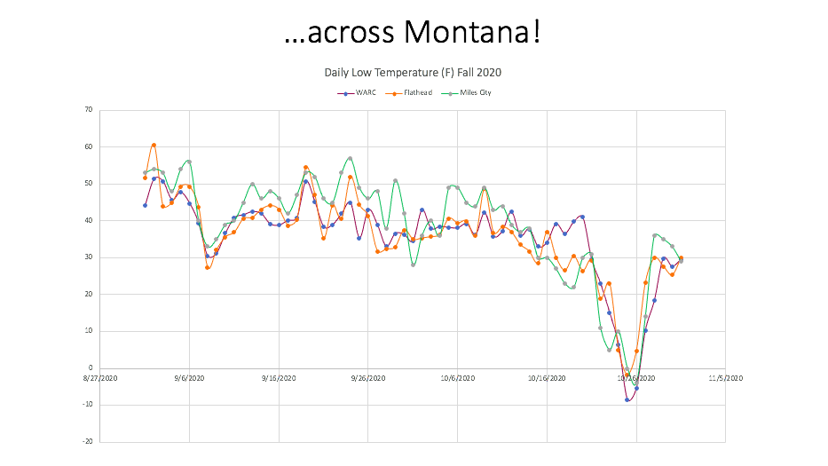 Temperature changes MT Fall 2020