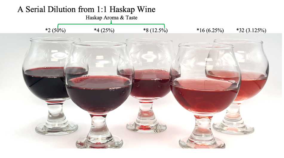 Serial dilution - haskap wine