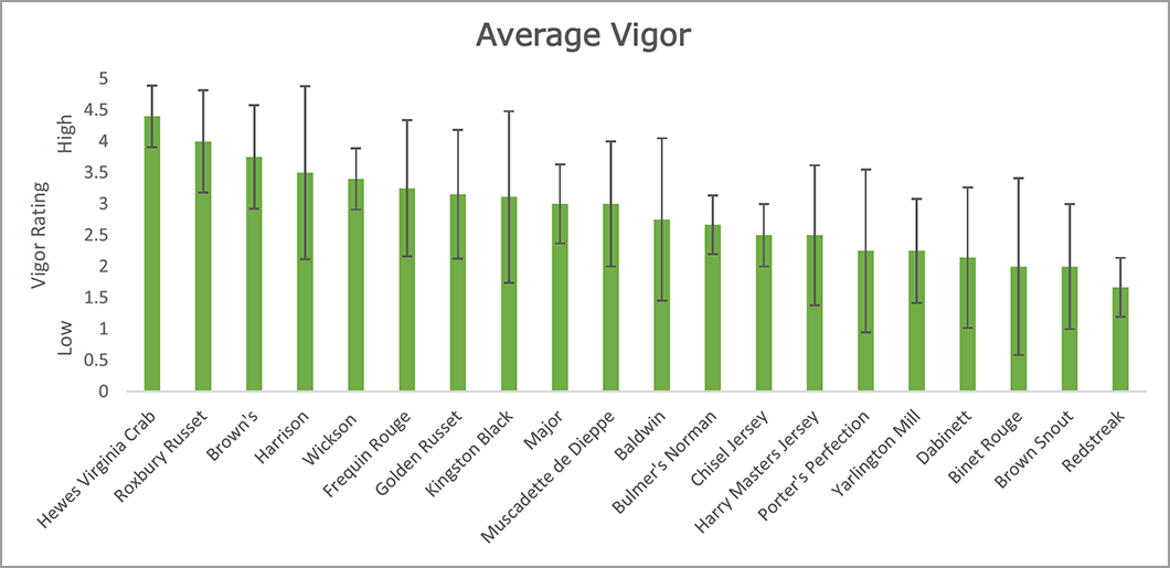 chart showing average vigor of apple varieties