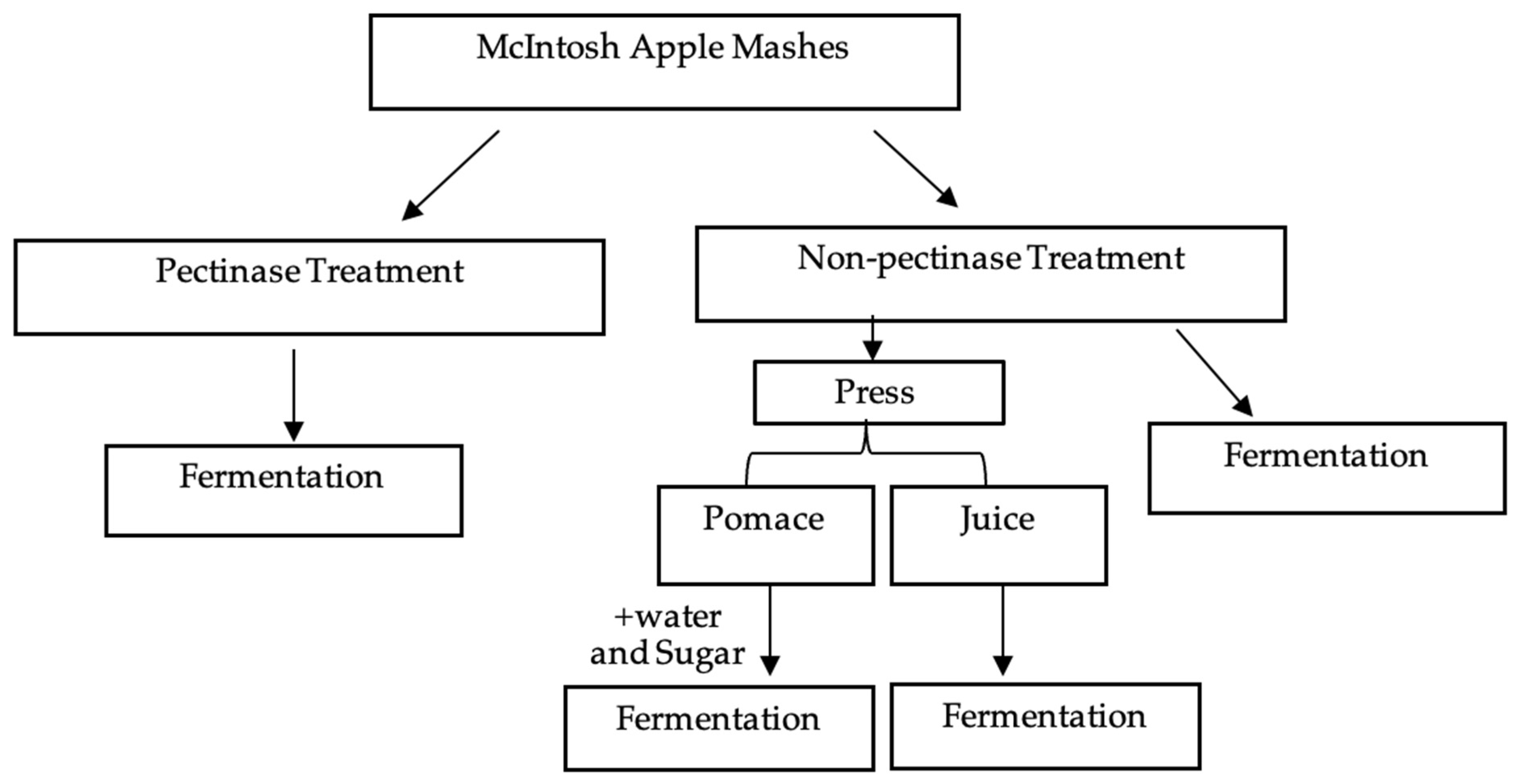 apple cider fermentation flow chart