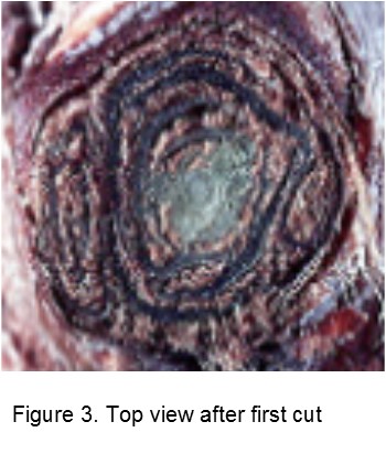 Assessing bud damage, figure 3.