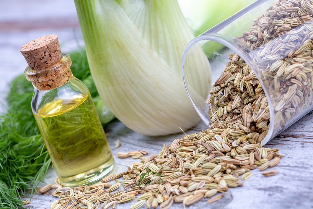 fennel seeds, oil, and herb