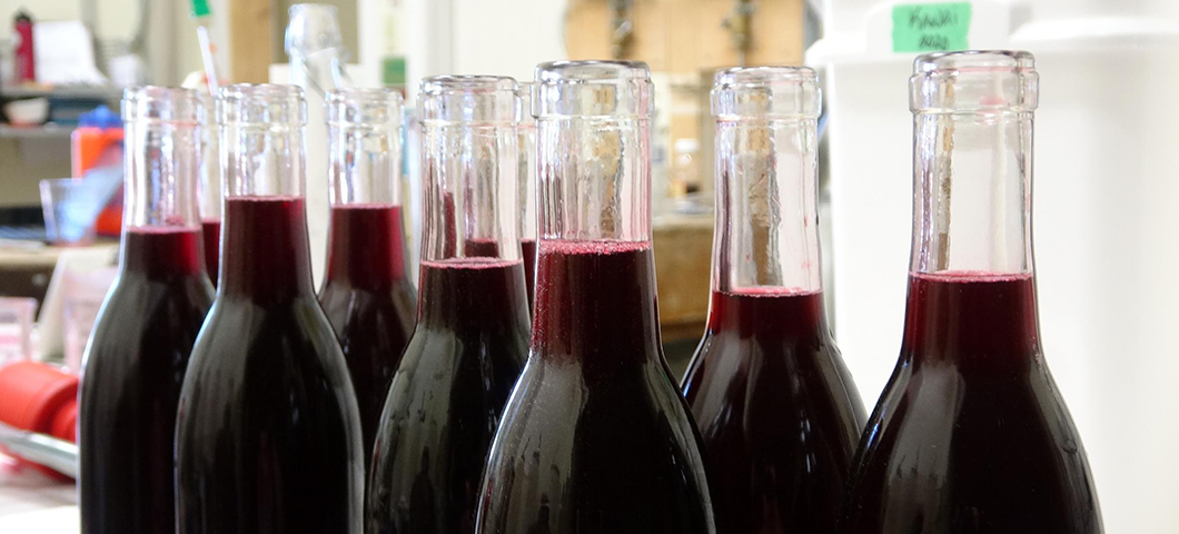 fruit wines in bottles