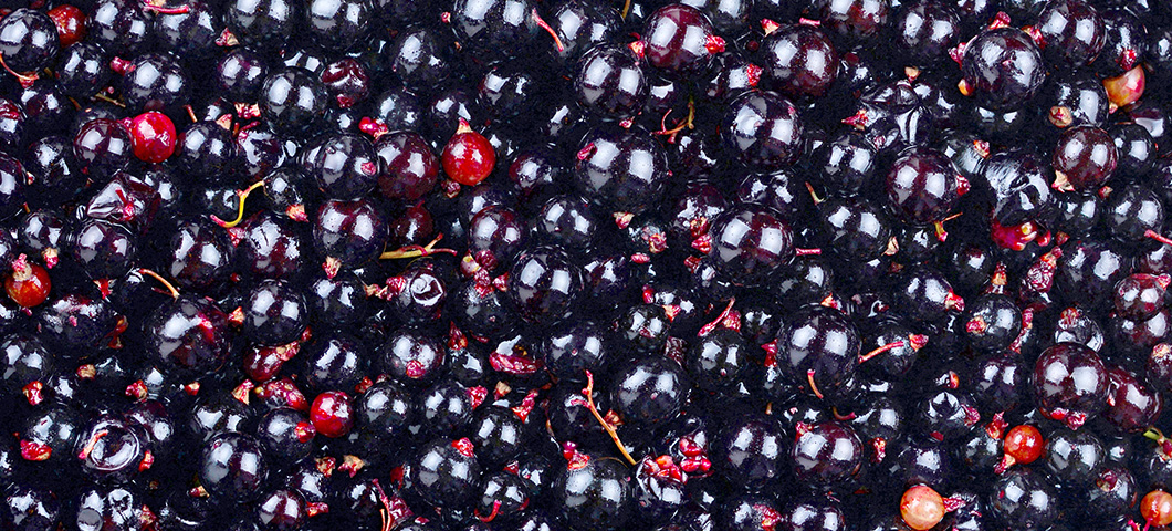 blackcurrants