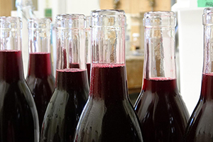 bottles of wine in lab